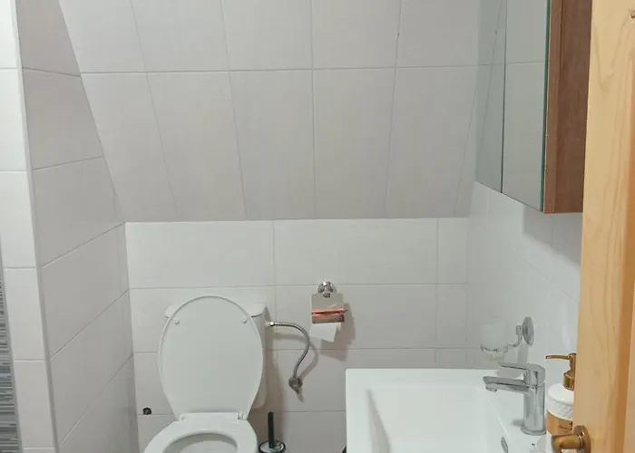 Gocki Raj 2024 Vrnjacka Banja